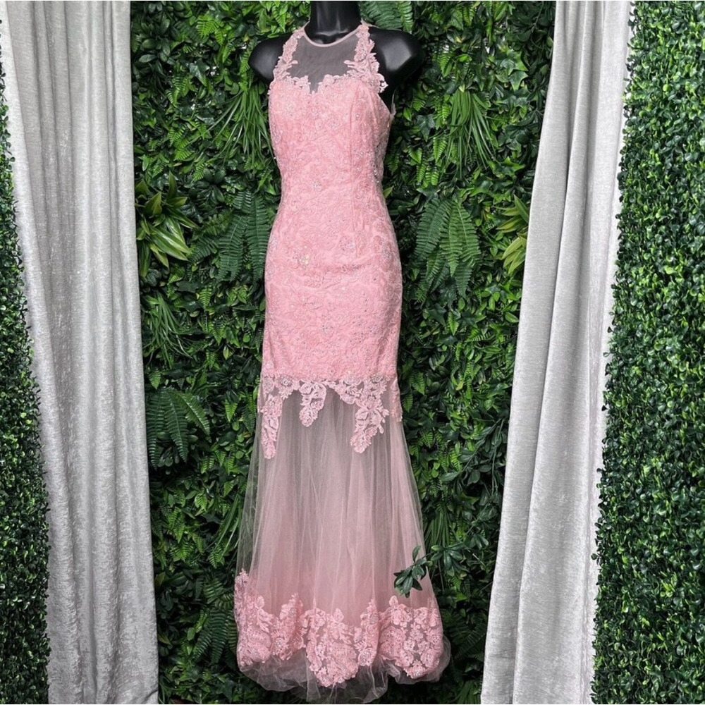 ASPEED Dress Women Small Pink Lace Sheer Overlay Embellished Evening Gown 2171